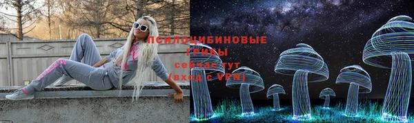 крисы Орехово-Зуево
