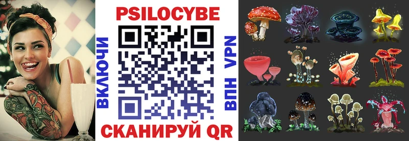 KRAKEN как зайти  Бабушкин  Псилоцибиновые грибы Magic Shrooms  купить закладку 